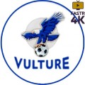 Vulture